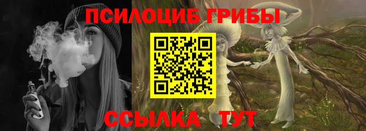 Усть-Джегута  хочу наркоту  Вход с VPN  Галлюциногенные грибы Psilocybine cubensis 